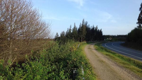 Terreno en Po-905, 905