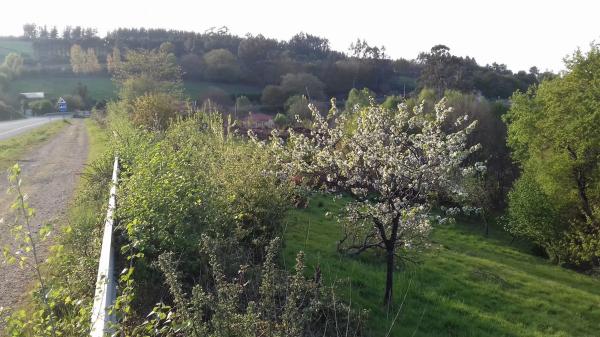 Terreno en Po-905, 905