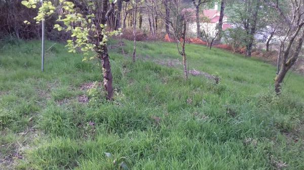 Terreno en Po-905, 905