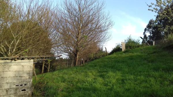 Terreno en Po-905, 905