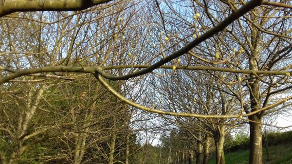 Terreno en Po-905, 905