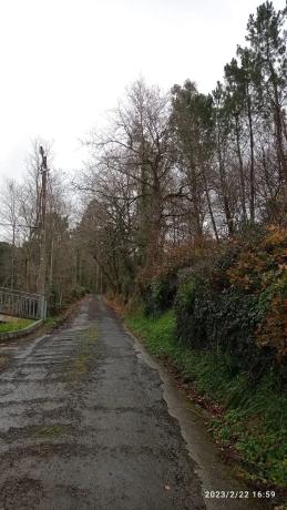 Terreno en santa maria de merza