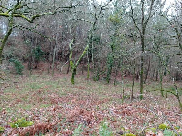 Terreno en santa maria de merza
