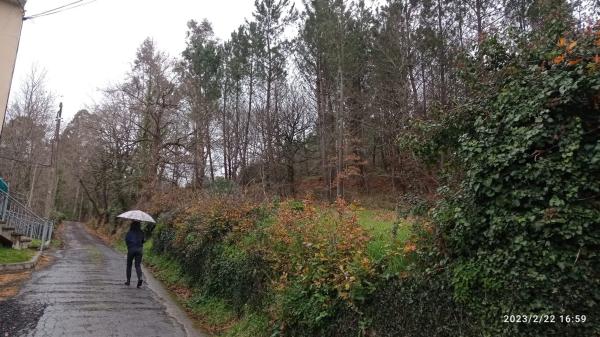 Terreno en santa maria de merza