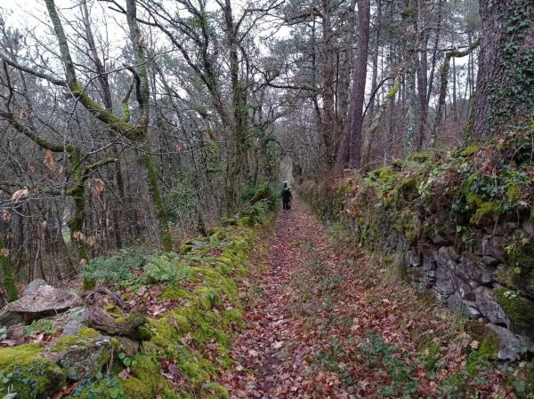 Terreno en santa maria de merza