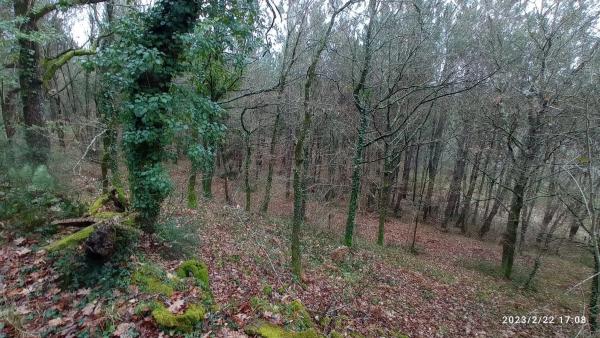 Terreno en santa maria de merza