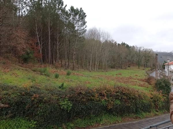 Terreno en santa maria de merza