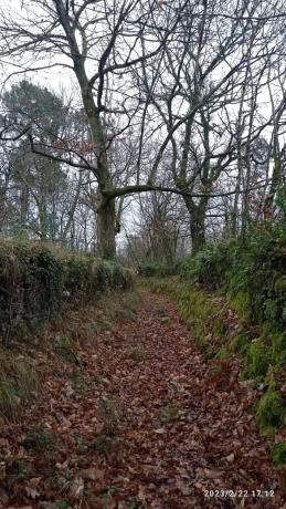 Terreno en santa maria de merza