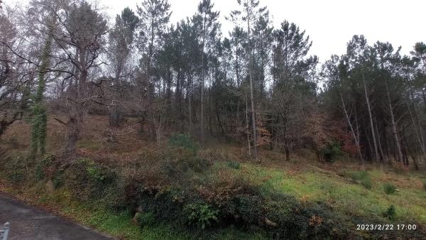 Terreno en santa maria de merza