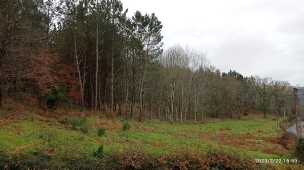 Terreno en santa maria de merza
