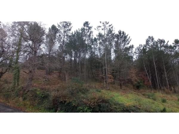 Terreno en Lugar Reboredo, 25 --a