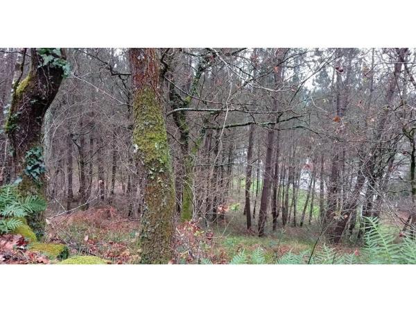 Terreno en Lugar Reboredo, 25 --a