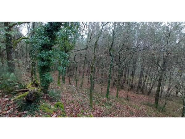 Terreno en Lugar Reboredo, 25 --a