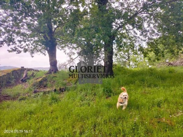 Terreno en Cerdedo-Cotobade