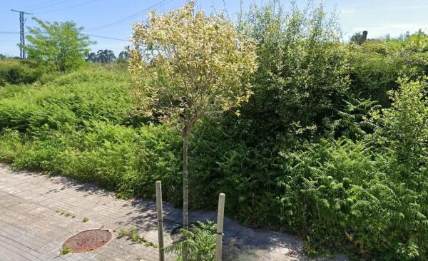 Terreno en calle da Roxa