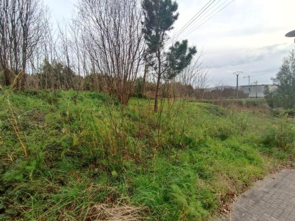 Terreno en calle da Roxa