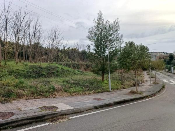 Terreno en calle da Roxa