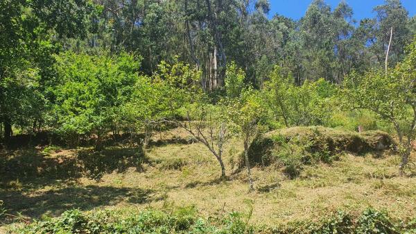 Terreno en Lugar Pousada, 83