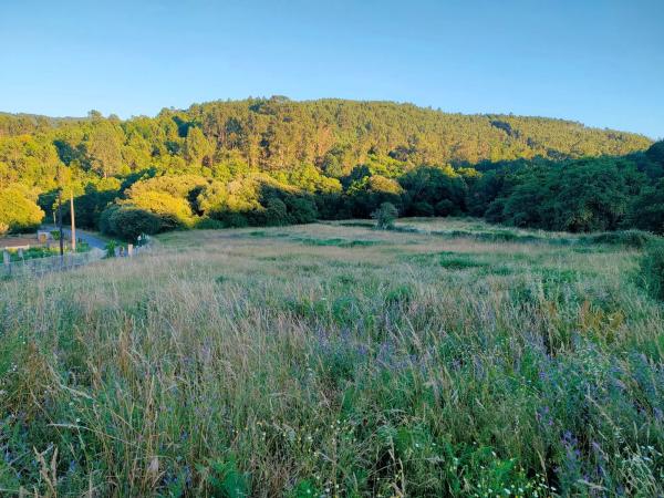 Terreno en carretera 542 s/n