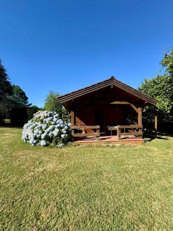 Terreno en a Carballeira, 96