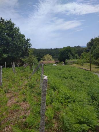 Terreno en camino Seixiños, 1