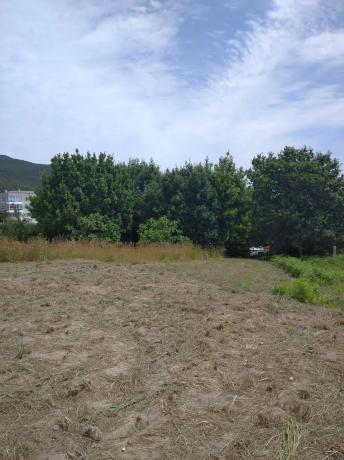 Terreno en camino Seixiños, 1