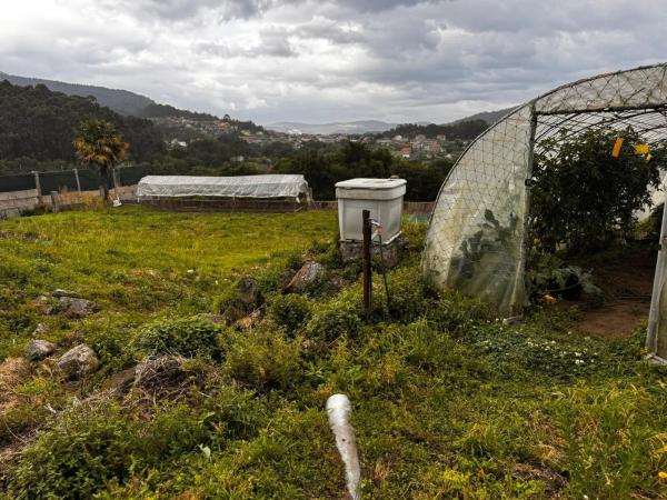 Terreno en avenida San Xoán