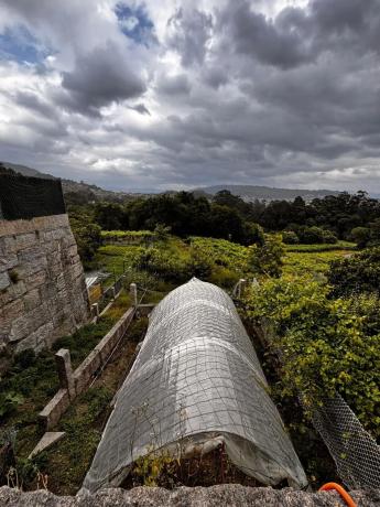 Terreno en avenida San Xoán