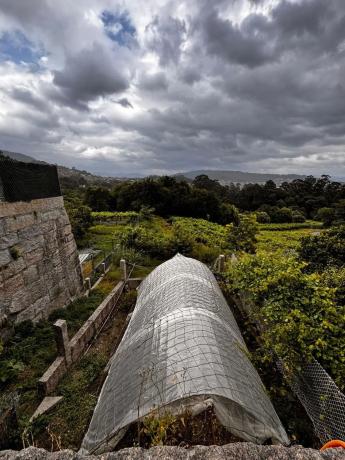 Terreno en avenida San Xoán