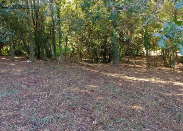 Terreno en camino Seixiños