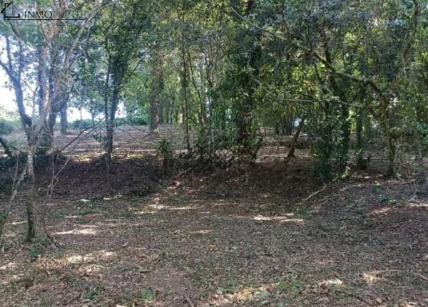 Terreno en camino Seixiños