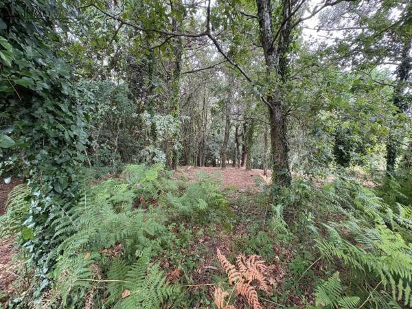 Terreno en camino Seixiños