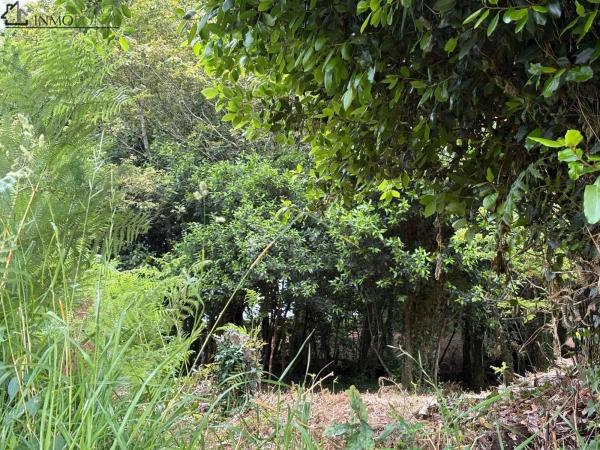 Terreno en camino Seixiños