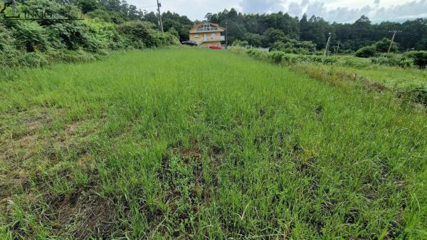 Terreno en Lugar Lg Vilar-sta Cristina