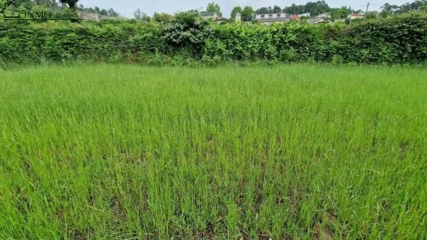 Terreno en Lugar Lg Vilar-sta Cristina
