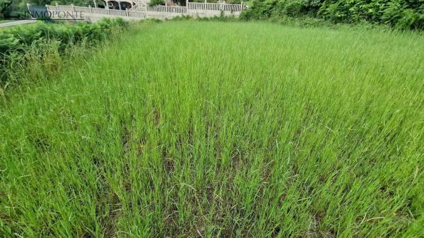 Terreno en Lugar Lg Vilar-sta Cristina