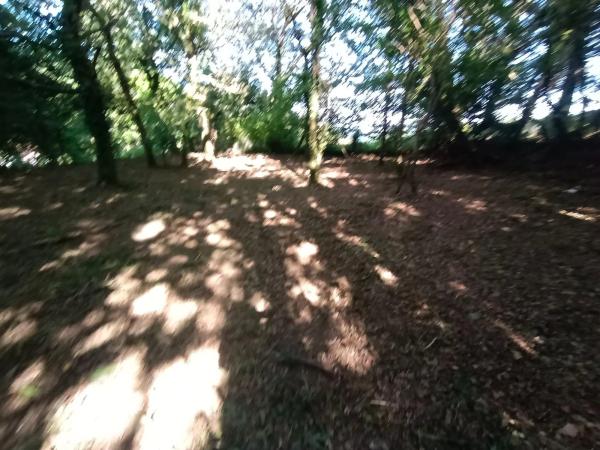 Terreno en camino Seixiños, 12