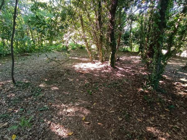 Terreno en camino Seixiños, 12