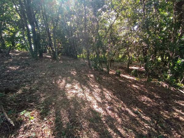 Terreno en camino Seixiños, 12