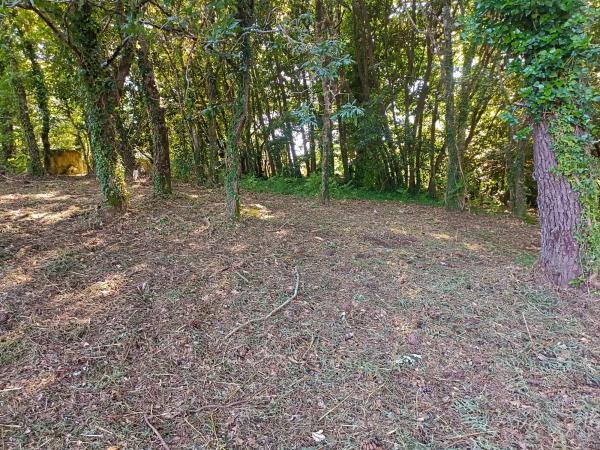 Terreno en camino Seixiños, 12