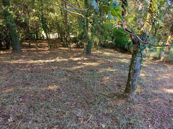 Terreno en camino Seixiños, 12