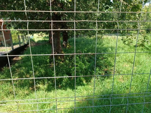 Terreno en Raigosa s/n