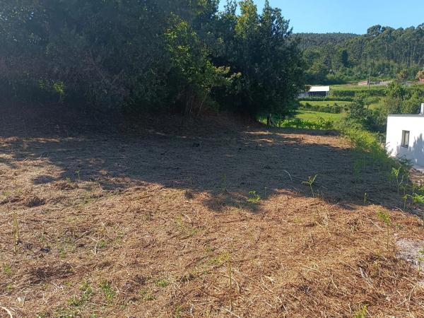 Terreno en camino Seixiños, 3