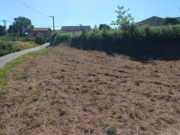 Terreno en camino Seixiños, 3