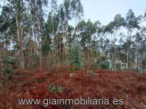 Terreno en Lugar Cons, 33