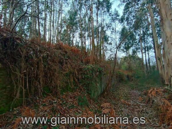 Terreno en Lugar Cons, 33