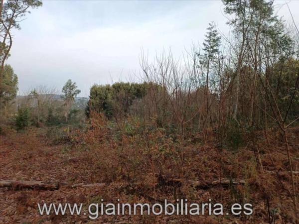 Terreno en Lugar Cons, 33