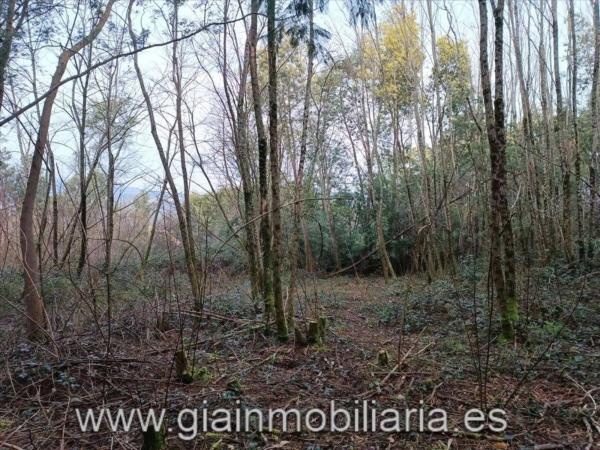 Terreno en Lugar Cons, 33