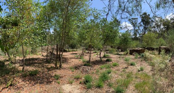 Terreno en Ep-0405, km 2