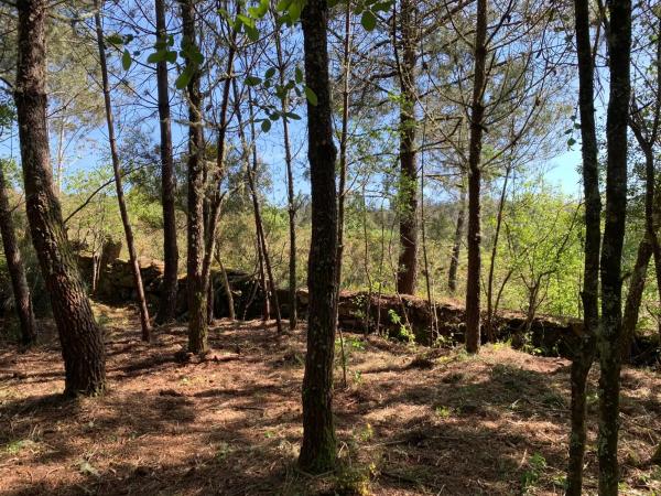 Terreno en Ep-0405, km 2